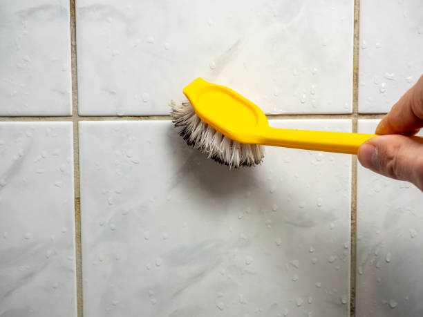 Best Water Damage Restoration  in Forest, VA