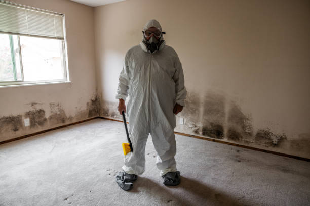 Best Affordable Mold Removal  in Forest, VA