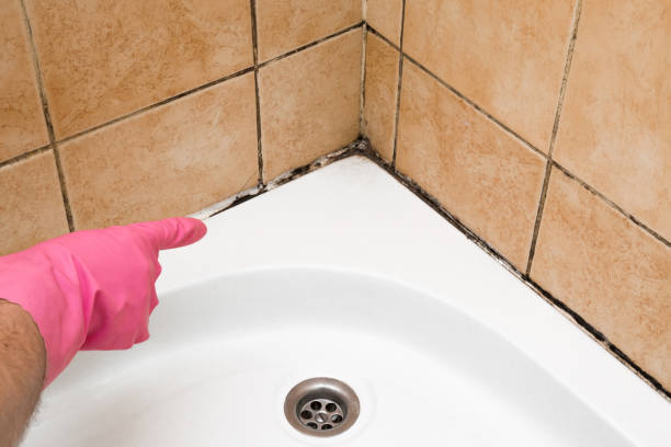 Water Damage Restoration in Forest, VA